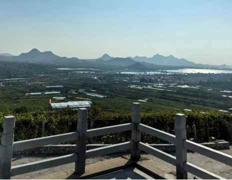 平度大澤山葡萄園引進(jìn)萊恩德土壤肥料檢測(cè)儀， 輕松掌握土壤營(yíng)養(yǎng)